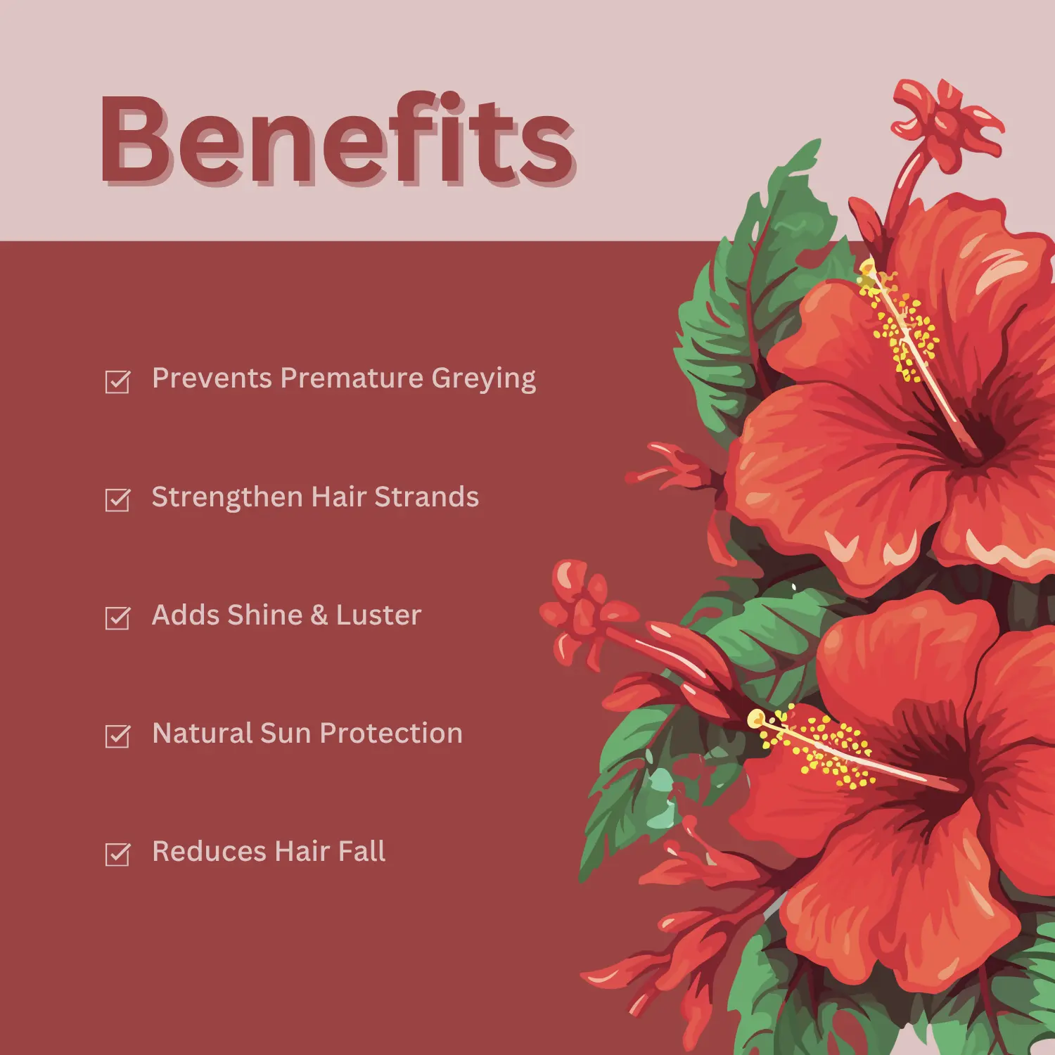 Hair Benefits of Using Hibiscus Powder An infographic with hibiscus flower illustrations listing the hair benefits of hibiscus powder, such as preventing premature greying, strengthening strands, and reducing hair fall.