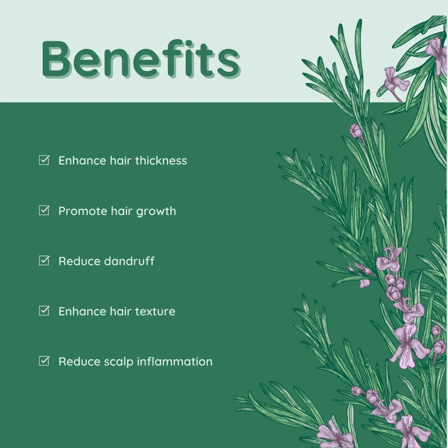 Hair & Scalp Benefits of Using Rosemary An infographic with rosemary plant illustrations listing the benefits of rosemary for hair, including promoting growth, enhancing thickness, and reducing dandruff.